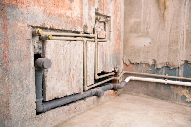 istockphoto-1503994338-612x612 istockphoto-1503994338-612x612