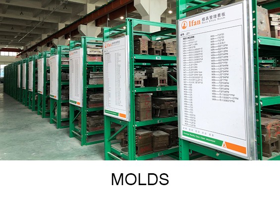 MOLDS